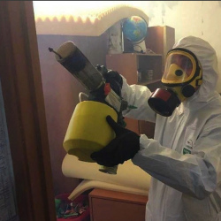 Уничтожение клопов в квартире. Шагонар